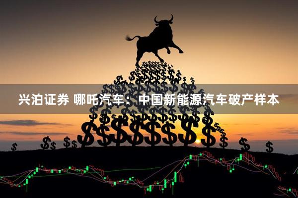 兴泊证券 哪吒汽车：中国新能源汽车破产样本