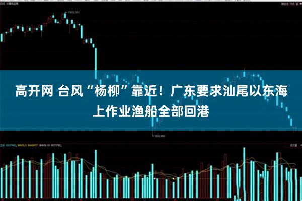 高开网 台风“杨柳”靠近！广东要求汕尾以东海上作业渔船全部回港