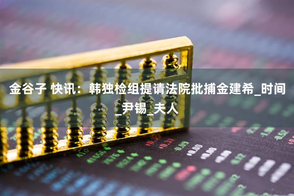 金谷子 快讯：韩独检组提请法院批捕金建希_时间_尹锡_夫人