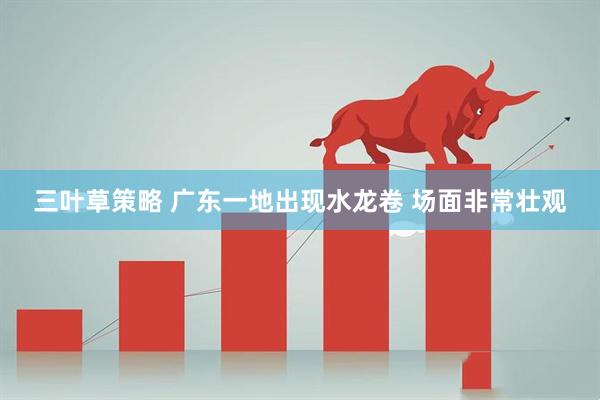 三叶草策略 广东一地出现水龙卷 场面非常壮观