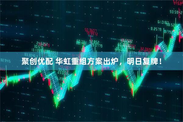 聚创优配 华虹重组方案出炉，明日复牌！