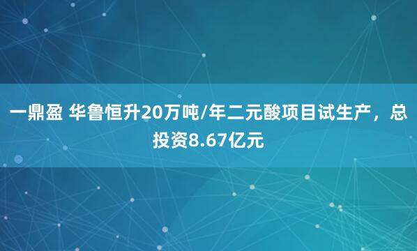 一鼎盈 华鲁恒升20万吨/年二元酸项目试生产，总投资8.67亿元