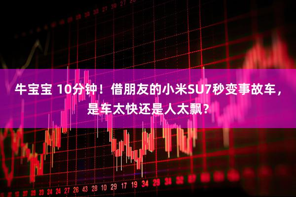 牛宝宝 10分钟！借朋友的小米SU7秒变事故车，是车太快还是人太飘？