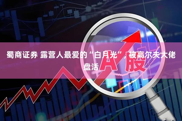 蜀商证券 露营人最爱的“白月光”, 被高尔夫大佬盘活